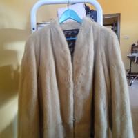 pelliccia visone selvaggio