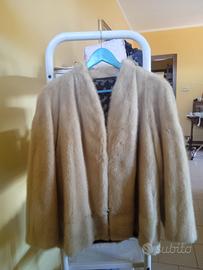 pelliccia visone selvaggio