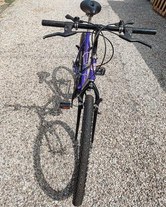 Bici donna