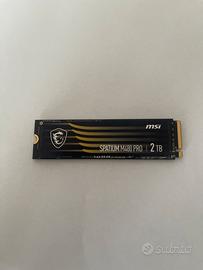 2 pezzi MSI SPATIUM M480 Pro PCIe 4.0 NVMe M.2 2TB
