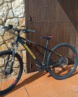 Bici MTB lombardo 29.