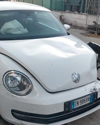 VOLKSWAGEN Maggiolino - 2012