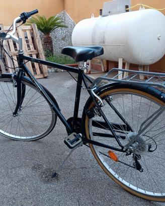Bici da passeggio