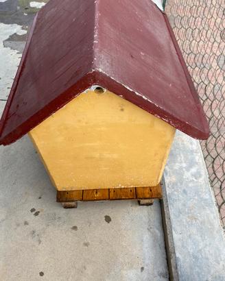Cuccia in cemento x cane