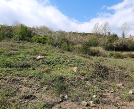 Terreno agricolo con progetto