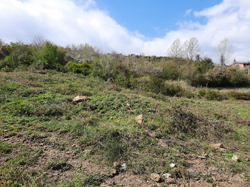 Terreno agricolo con progetto