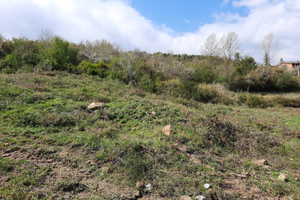 Terreno agricolo con progetto