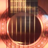 Chitarra con custodia