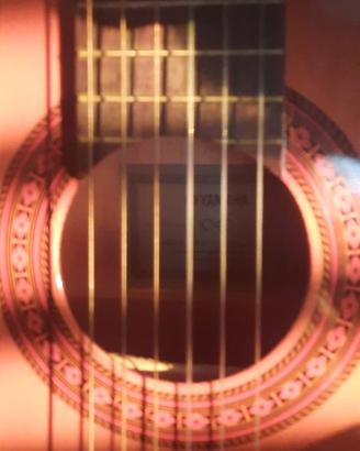 Chitarra con custodia