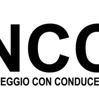 licenza noleggio con conducente 