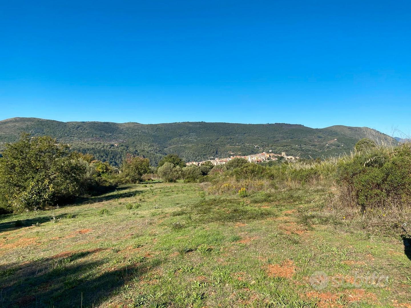 Terreno agricolo a camerota - Altro