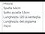 Immagine 6