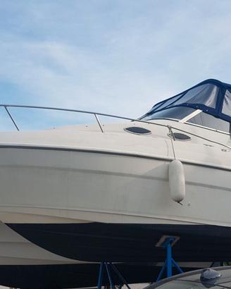 Barca Wellcraft Martinique 2400