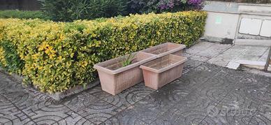 Vasi da giardino 