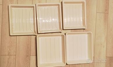 5 Vassoi di sviluppo 