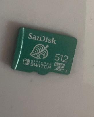 Nintendo  Switch Lite