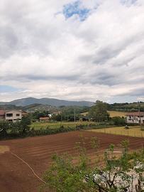 terreno agricolo e edificabile 