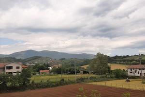 terreno agricolo e edificabile 