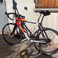 Bici da corsa Wilier (XL)