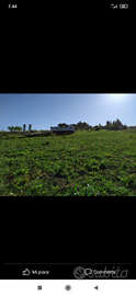Terreno agricolo Napola contrada CORALLARO