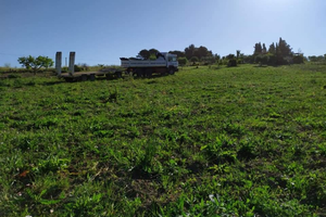 Terreno agricolo Napola contrada CORALLARO