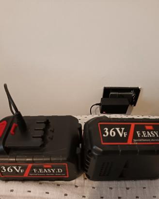 Batterie Ricaricabili 36v F. Easy D. 