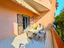 Immagine 23