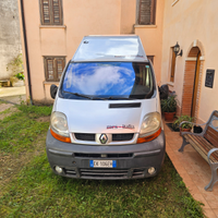 Van unico esemplare h. 2.55 -Schio- (VI)