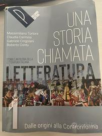una storia chiamata letteratura 1