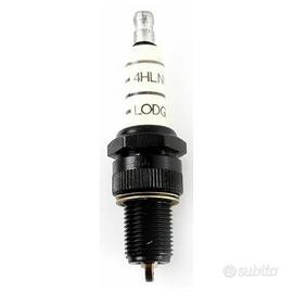 Candela Silver Lodge 4HLNY passo lungo