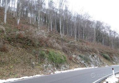 Immobile in asta di 62845 m² a Costa Valle Imagna