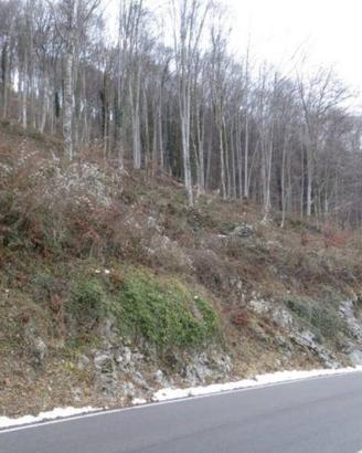 Immobile in asta di 62845 m² a Costa Valle Imagna