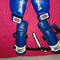 Guanti da boxe