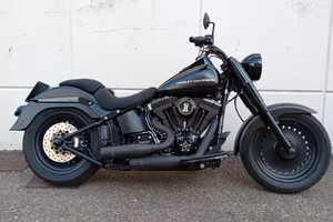 Harley-Davidson FLSTF Fat Boy Special