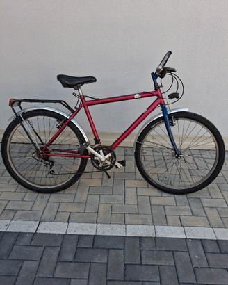 bicicletta citybike ruote da 26 a marce