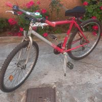 monte bike 26 bottecchia 