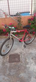 monte bike 26 bottecchia 