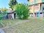 Immagine 15