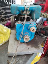 Pompa motopompa acqua Ducati