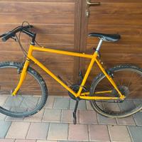 Bicicletta MTB