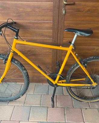 Bicicletta MTB