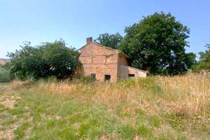 IN CER CA DEL TUO RIFUGIO IMMERSO nel VERDE?