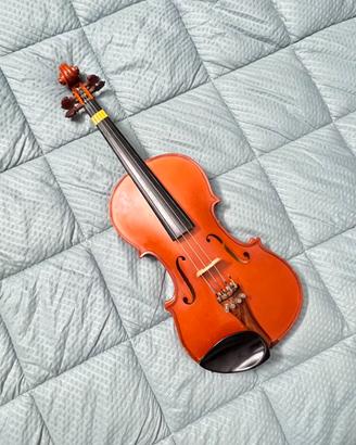 violino da studio 3/4 🎻✨