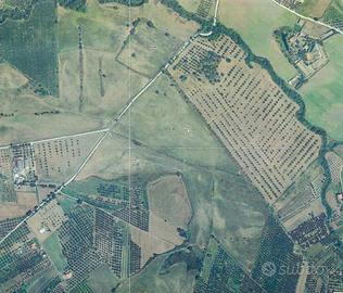 Viterbo Terreno 60 ettari