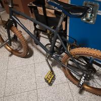 bicicletta da ragazzo