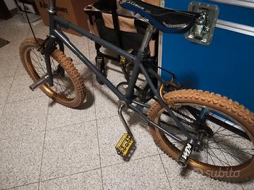 bicicletta da ragazzo