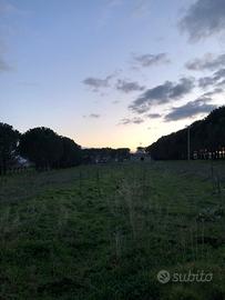 Terreno con casetta