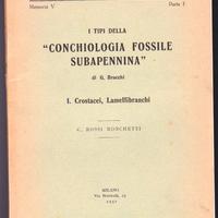 G. Brocchi: I tipi della "Conchiologia fossile