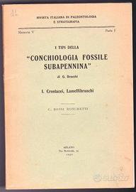 G. Brocchi: I tipi della "Conchiologia fossile