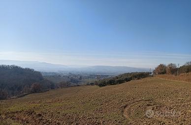 Casolare con terreno